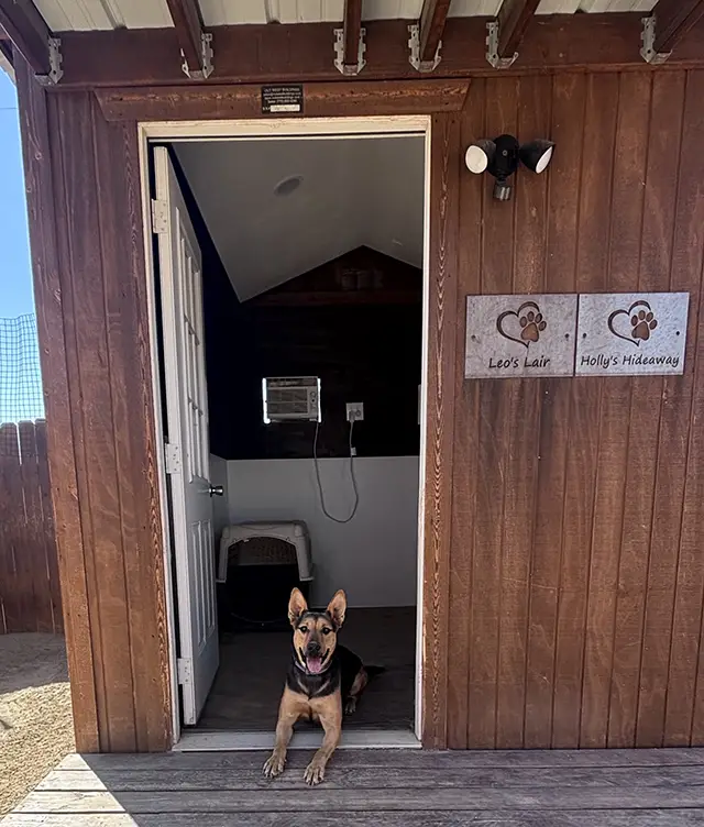 Cabin Inside